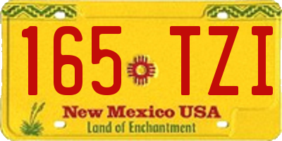 NM license plate 165TZI