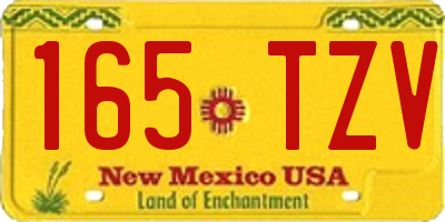 NM license plate 165TZV