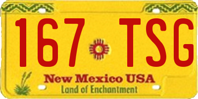 NM license plate 167TSG