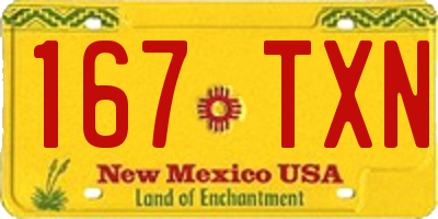 NM license plate 167TXN