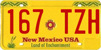 NM license plate 167TZH