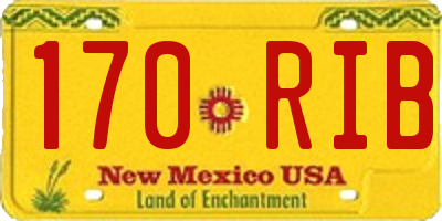 NM license plate 170RIB