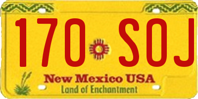 NM license plate 170SOJ