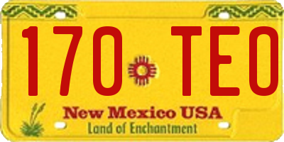 NM license plate 170TEO