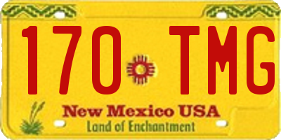 NM license plate 170TMG