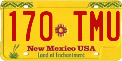 NM license plate 170TMU