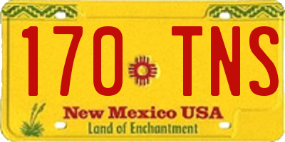 NM license plate 170TNS