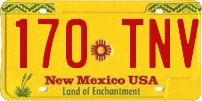 NM license plate 170TNV