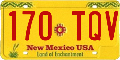NM license plate 170TQV