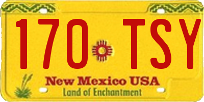 NM license plate 170TSY