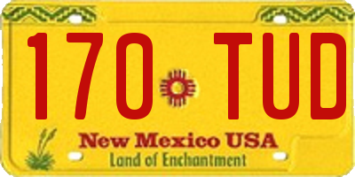 NM license plate 170TUD