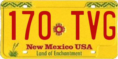 NM license plate 170TVG