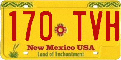 NM license plate 170TVH