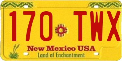 NM license plate 170TWX