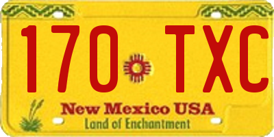 NM license plate 170TXC