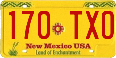 NM license plate 170TXO
