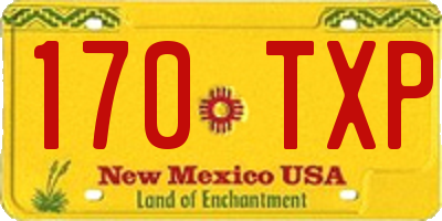 NM license plate 170TXP