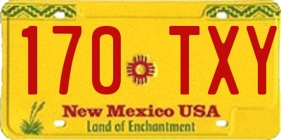 NM license plate 170TXY