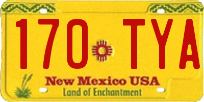 NM license plate 170TYA