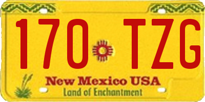 NM license plate 170TZG