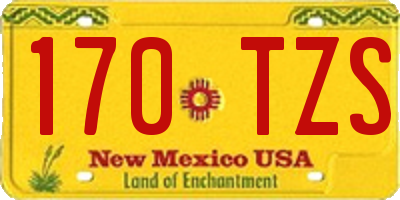 NM license plate 170TZS