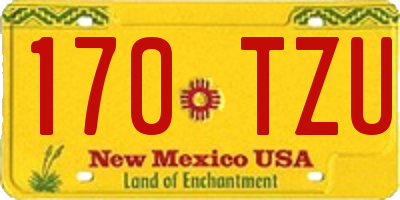NM license plate 170TZU