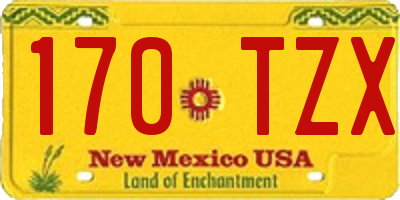 NM license plate 170TZX