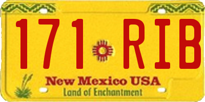 NM license plate 171RIB
