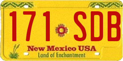 NM license plate 171SDB