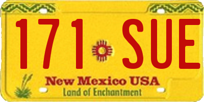 NM license plate 171SUE