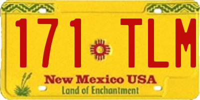NM license plate 171TLM