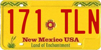 NM license plate 171TLN