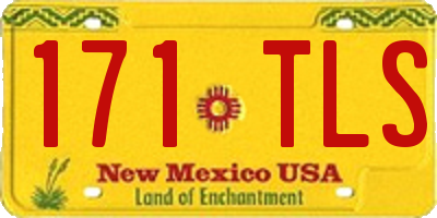 NM license plate 171TLS