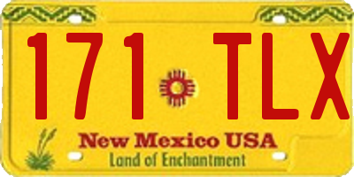 NM license plate 171TLX