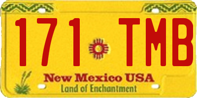 NM license plate 171TMB