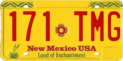 NM license plate 171TMG