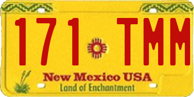 NM license plate 171TMM