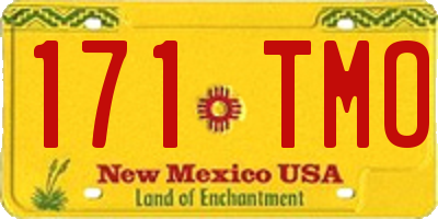 NM license plate 171TMO