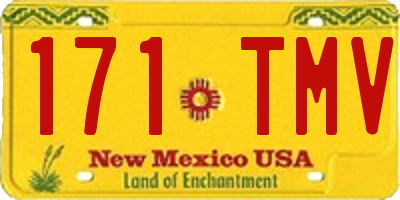 NM license plate 171TMV