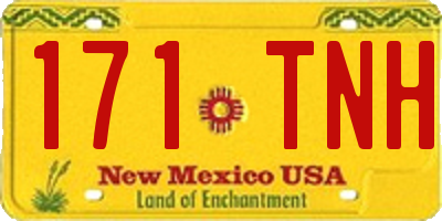 NM license plate 171TNH