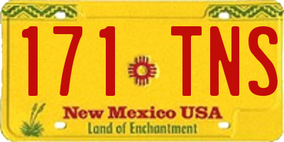 NM license plate 171TNS