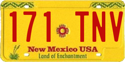 NM license plate 171TNV