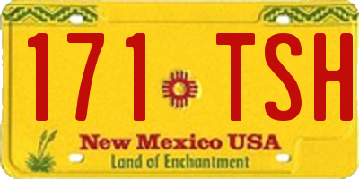 NM license plate 171TSH