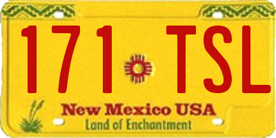 NM license plate 171TSL