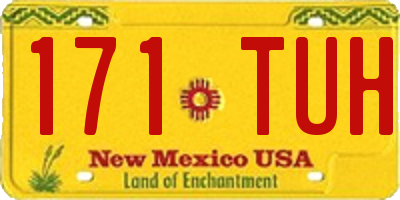 NM license plate 171TUH