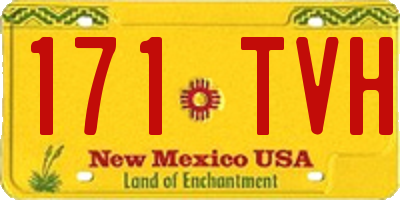 NM license plate 171TVH