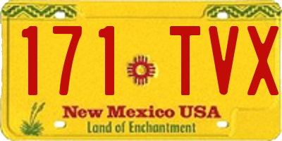 NM license plate 171TVX