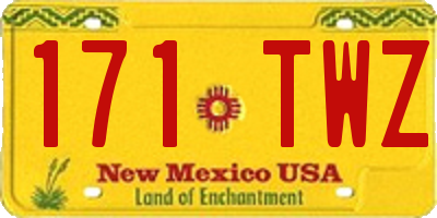 NM license plate 171TWZ