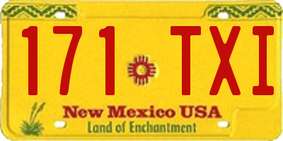 NM license plate 171TXI