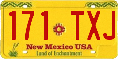 NM license plate 171TXJ